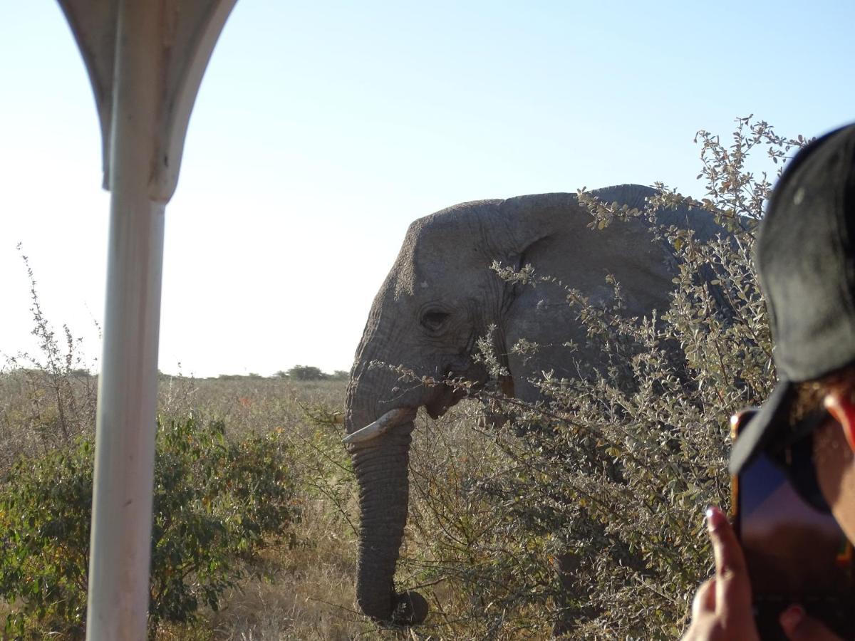 Etosha King Nehale Villa Omuthiya Exterior photo